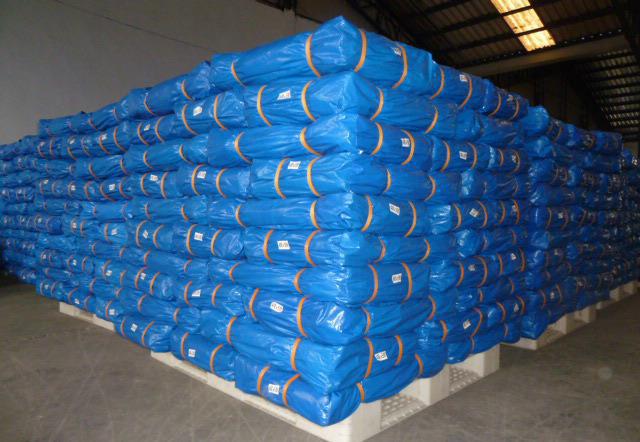 中德生态园“德国中心”建设全面提速-JDB平台官网入口(图4) jdb电子网址大全