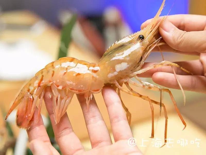 JDB平台官网入口