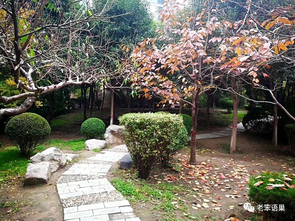 JDB平台官网入口