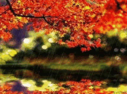 共筑国家安全的“新长城”_时事政治_中公教育网|Jdb电子官网