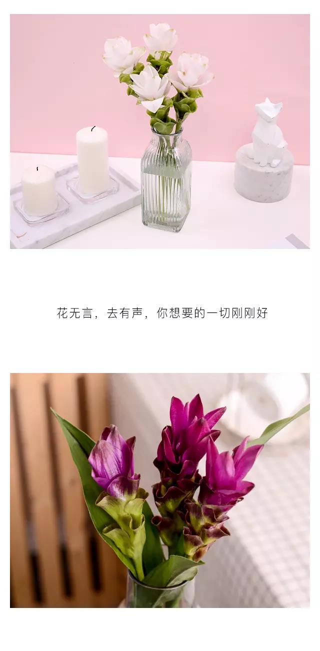 JDB平台官网入口