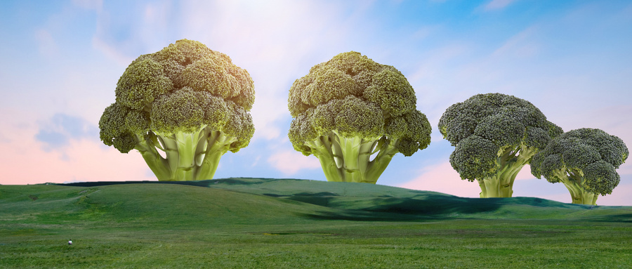 JDB平台官网入口